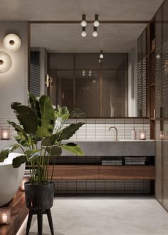 a bathroom with a plant in the middle and lights above it, along with two sinks