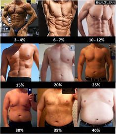 These Body Fat Percentage Photos of Men & Women will allow you to better understand your own body fat percentage. Diy Natural Detergent, Photos Of Men, Protein Rich Snacks, Body Fat Percentage, Diet Guide, Calorie Intake, How To Eat Less, Self Care Activities, Man Photo