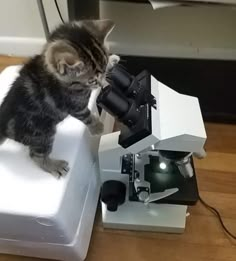 a cat standing on top of a white box looking into a microscope with its paw in it's mouth