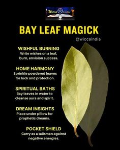 Bay Leaf Protection Spell, Spells With Bay Leaves, Burning Bay Leaves Benefits, Bay Leaves Manifestation, Bay Leaves Witchcraft, Bay Leaves Benefits, Bay Leaf Ritual, Bay Leaf Magic, Bay Leaves Uses