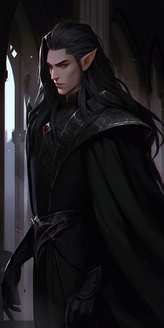 Black Haired Fae Male, Male Elf Black Hair, Black Haired Elf Male, Dhampir Male Art, Dark Fae Male, Dnd Half Elf Male, Dark Haired Elf, Elf With Black Hair, Dark Elf King