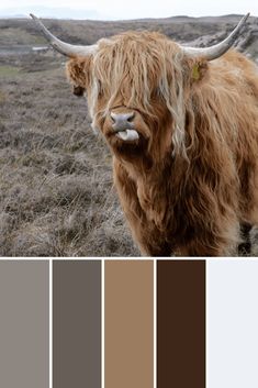 Farmhouse Color Palettes - This Growing Home