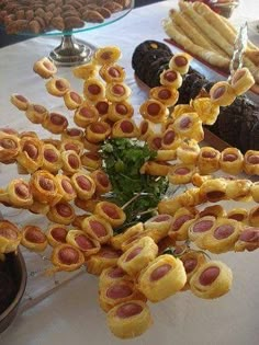 a bunch of food that is sitting on a table in front of a potted plant