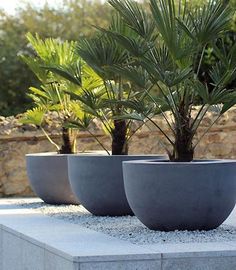 three planters sitting on top of a cement block