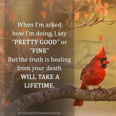 a red bird sitting on top of a tree branch next to a quote that says, when i'm asked how i'm doing i say pretty god or fine?