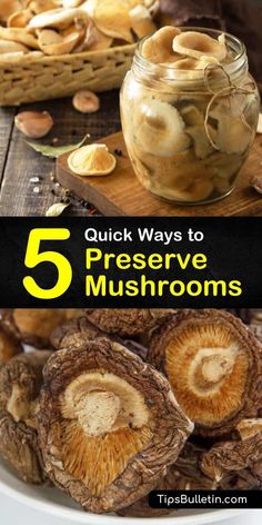 mushrooms in jars with the words 5 quick ways to preserve mushrooms