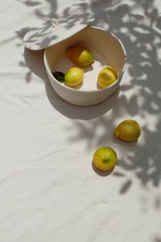 some fruit is sitting in a bowl on the ground next to it's shadow