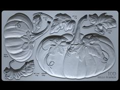 pumpkins and gourds are shown in the shape of cookie sheet molds