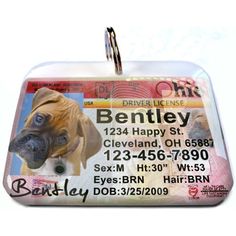 a dog id tag with an image of a brown dog on it's back