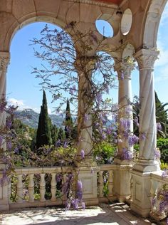 an outdoor gazebo with purple flowers growing on the pillars and around it, surrounded by greenery