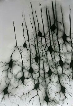 an abstract painting with black and white lines on it's surface, in the middle of