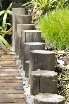 wooden logs are lined up along the path