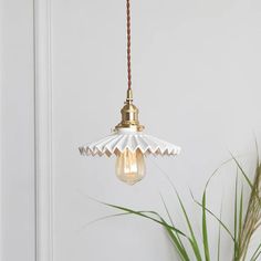 a light hanging from a ceiling next to a potted plant and white wall behind it