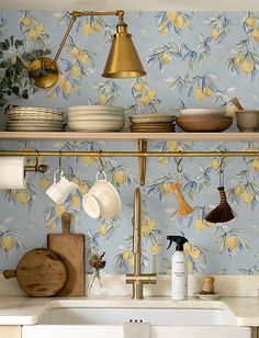 a kitchen sink under a brass faucet next to a blue wall with lemons on it