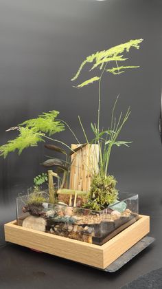 a miniature house made out of wood and glass with plants in the middle on display