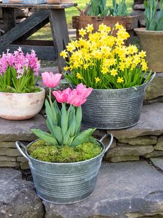 three buckets filled with flowers sitting on top of a stone wall