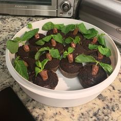 cupcakes with chocolate frosting and mint sprouts in a white bowl