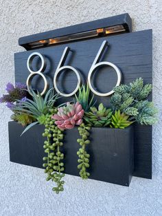 the number sixty six is decorated with succulents and other plants on a wall