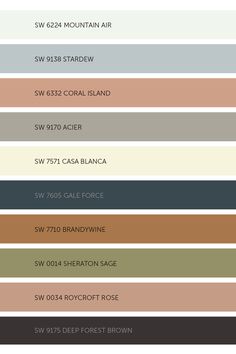 the different colors of paint swatches