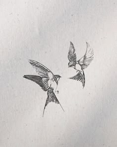 two birds flying in the sky with one bird drawn on it's back side