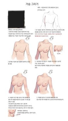 Drawing Female Body, Human Anatomy Art, Anatomy Sketches, Body Anatomy, Coloring Tutorial