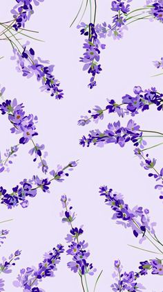 purple flowers and green leaves on a white background