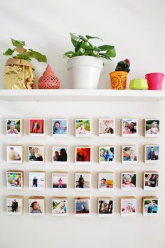 a white shelf filled with pictures and potted plants