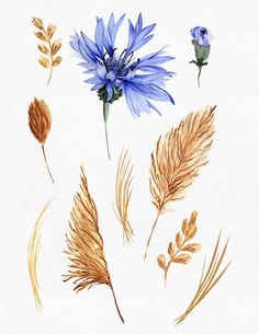 watercolor painting of blue flowers and grasses