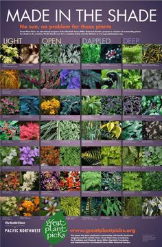 the poster shows different types of plants