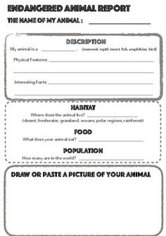 an animal report is shown in the form of a paper with information about animals on it