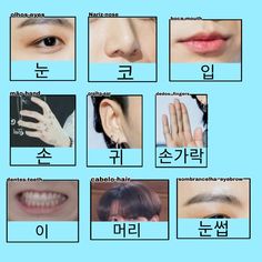 an image of different types of teeth and their meanings in korean words on a blue background