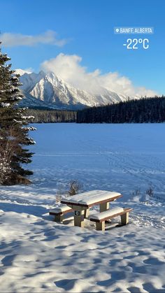 two picnic tables sitting in the snow next to some pine trees and mountain range behind them