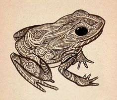 a drawing of a frog with intricate patterns on it's body