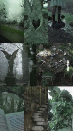 the collage shows many different images of people and trees