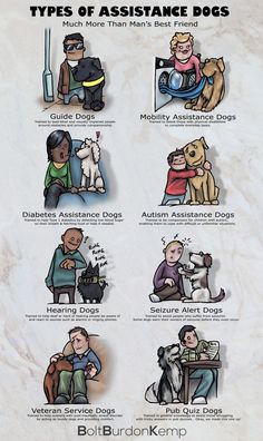 an info sheet with different types of dogs and people in the same area on it