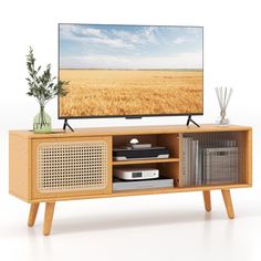 a flat screen tv sitting on top of a wooden entertainment center next to a plant