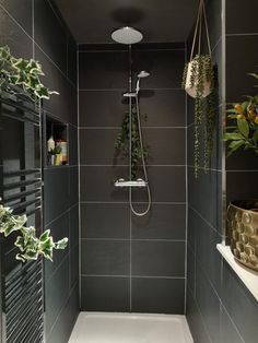 a walk in shower sitting next to a window with plants on the shelves above it