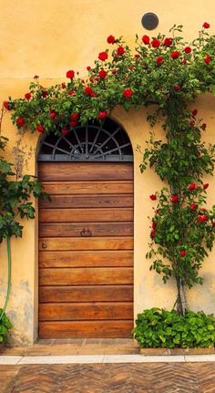 a wooden door with red flowers growing on it's sides and an arched window