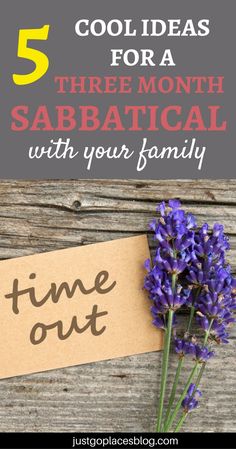 purple flowers with the words 5 cool ideas for a three month sabraticaal with your family