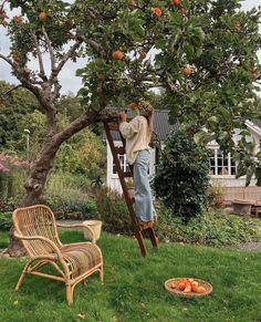 a man climbing up the side of a ladder to pick apples from an apple tree