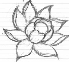 a drawing of a flower with leaves on it's side and the words, how to draw a lotus