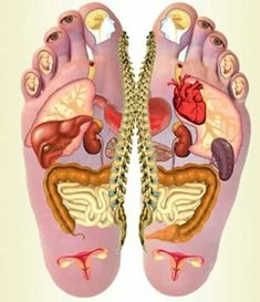 Foot Reflexology Massage, Bolesti Chrbta, Massage Therapy Techniques, Reflexology Chart, Makeup For, Reflexology Massage, Foot Reflexology, Skin Color Palette