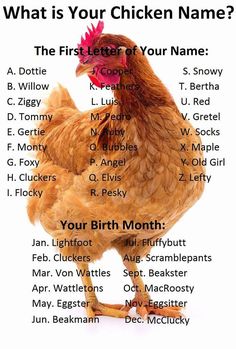 a chicken with the words what is your chicken name? on it's screen