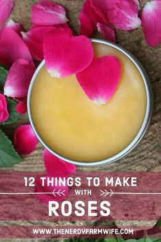 Create a dozen beautiful body care projects using rose petals! Dried Roses Ideas, Repurposed Linens, Lavender Farms, Herbal Health, Body Ideas, Salve Recipes, How To Make Rose, Real Rose Petals, Herbal Salves