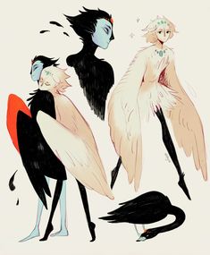 three different types of birds with black and white feathers