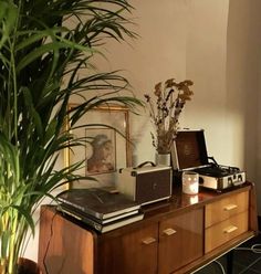 a wooden dresser topped with a laptop computer next to a potted plant