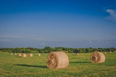 hay bales in a large field with trees in the background and blue sky above