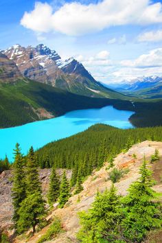 a scenic view of a lake surrounded by mountains and pine trees in the foreground