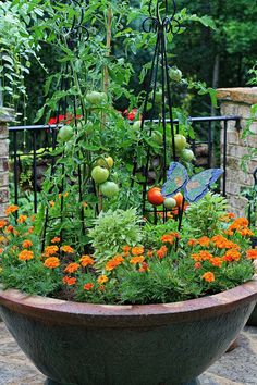 a garden filled with lots of different types of flowers and plants next to a fence