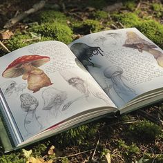 an open book sitting on the ground with pictures of mushrooms and other things in it